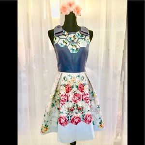 BNWT  Ted Baker Evalin Ted 3/US8 Skater Dress!